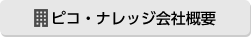 ピコ・ナレッジ会社概要